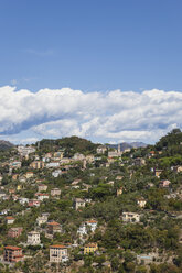 Italien, Ligurien, Bergdorf bei Camogli - GWF05608