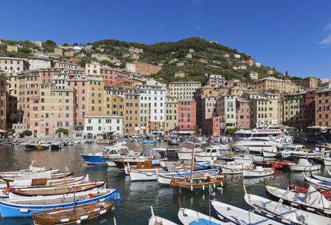 Italien, Ligurien, Camogli, Hafen - GWF05610