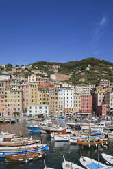 Italien, Ligurien, Camogli, Hafen - GWF05612