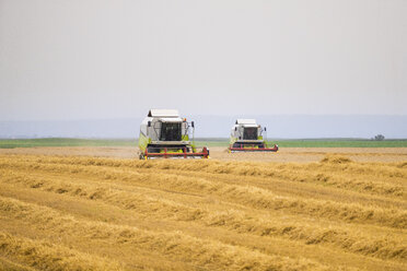 Serbia, Vojvodina, Combine harvesting wheat fields - NOF00063