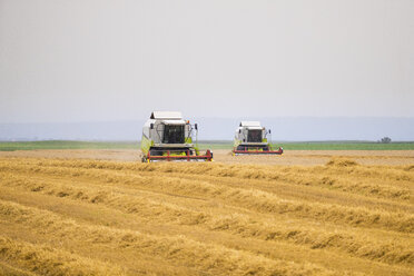 Serbien, Vojvodina, Mähdrescher bei der Ernte von Weizenfeldern - NOF00063