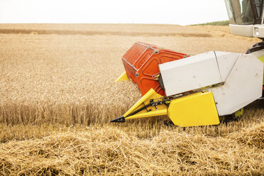 Serbia, Vojvodina, Combine harvesting wheat field - NOF00064