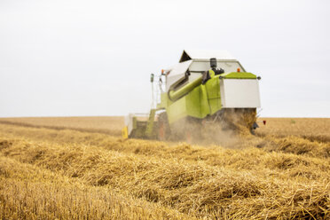 Serbien, Vojvodina, Mähdrescher bei der Ernte eines Weizenfeldes - NOF00065