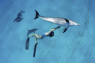 Schnorchler schwimmen mit Delfinen - ISF17466