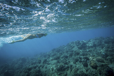 Snorkeler swimming in coral - ISF17611