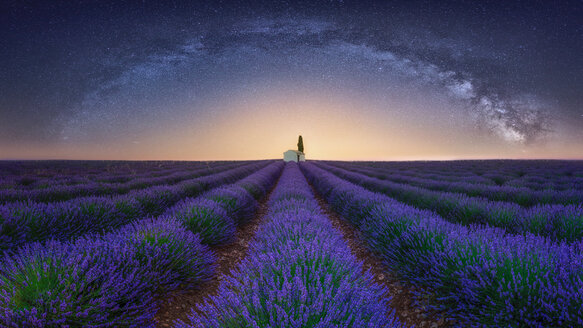 France, Alpes-de-Haute-Provence, Valensole, lavender field under milky way - RPSF00193