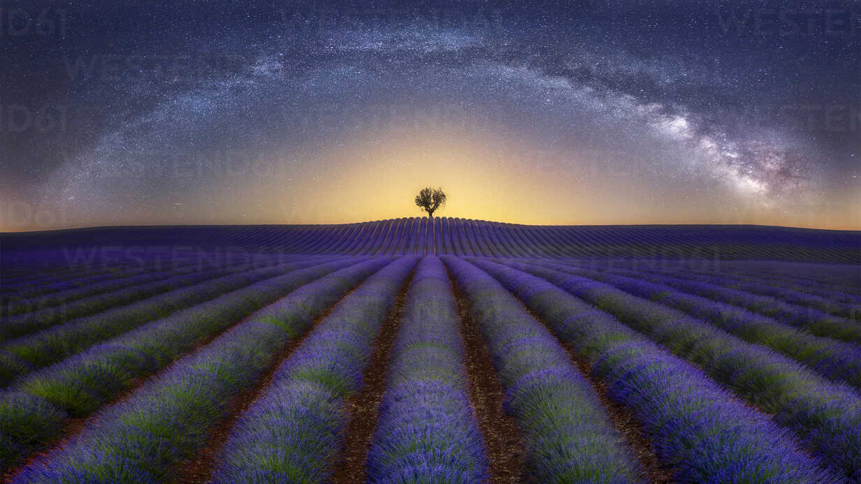 France, Alpes-de-Haute-Provence, Valensole, lavender field under milky way  stock photo