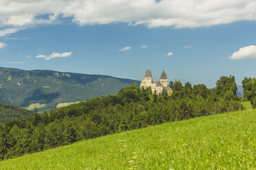 Österreich, Niederösterreich, Bezirk Neunkirchen, Burg Wartenstein - AIF00527