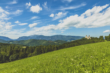 Österreich, Niederösterreich, Bezirk Neunkirchen, Burg Wartenstein - AIF00529