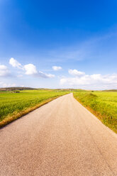 Spain, Andalucia, unnamed road leading through fields of crops - SMAF01125