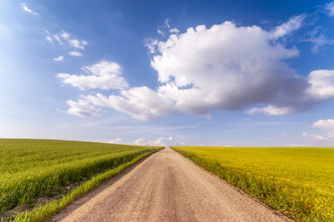 Spain, Andalucia, unnamed road leading through fields of crops - SMAF01128