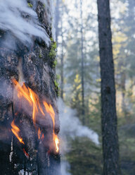 Ein kontrollierter Waldbrand, ein absichtliches Feuer, das ein gesünderes und nachhaltigeres Waldökosystem schaffen soll. Das vorgeschriebene Abbrennen von Wäldern schafft die richtigen Bedingungen für das Nachwachsen. - MINF02961