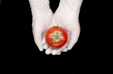 Handschuhe, die eine Tomate halten - ISF17945