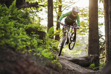 Mountainbiker fährt durch den Wald - ISF18039