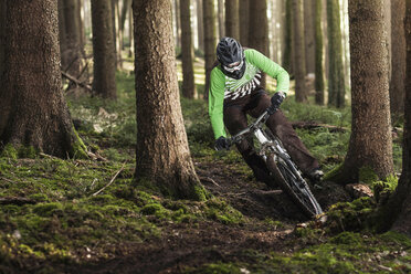 Mountain biker riding through trees - ISF18040