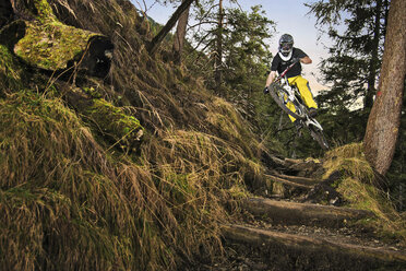 Männlicher Mountainbiker fährt Waldstufen hinunter - ISF18053