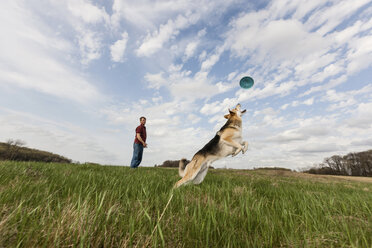 Schäferhund springt, um Frisbee zu fangen - ISF18167