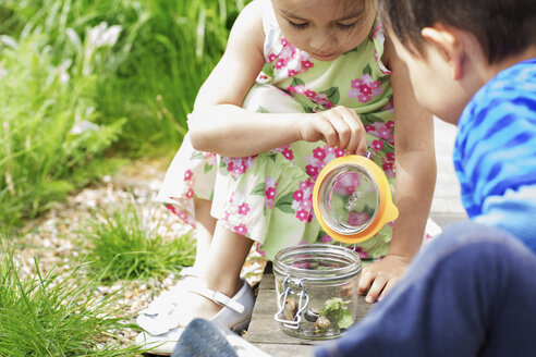 Mädchen und Junge im Garten beim Betrachten eines Schneckenglases - ISF18243