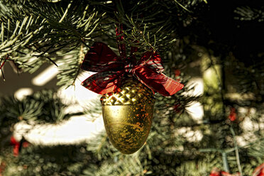 Weihnachtsschmuck am Baum - ISF18296