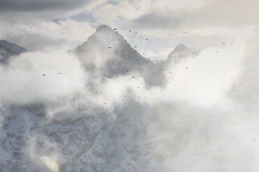 Vögel fliegen durch Wolken, Schilthorn, Murren, Berner Oberland, Schweiz - ISF18333