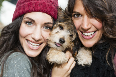 Friends holding pet dog for photograph - ISF18392