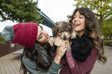 Friends holding pet dog for photograph - ISF18393