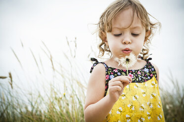 Portrait of female toddler with dandelion clock - ISF18593