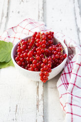 Bowl of red currants - LVF07344