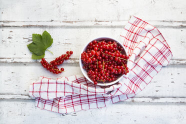 Bowl of red currants - LVF07347