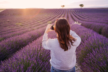 Frankreich, Valensole, Rückenansicht einer Frau beim Fotografieren eines Lavendelfeldes bei Sonnenuntergang - GEMF02217