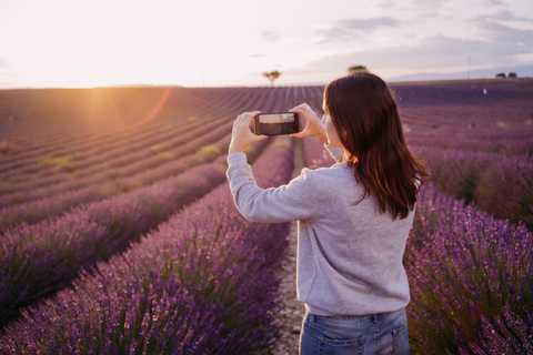 France, Valensole, back view of woman taking photo of lavender field at sunset stock photo
