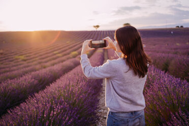 Frankreich, Valensole, Rückenansicht einer Frau beim Fotografieren eines Lavendelfeldes bei Sonnenuntergang - GEMF02219