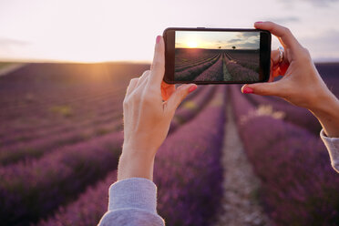 Frankreich, Valensole, Frauenhände beim Fotografieren eines Lavendelfeldes bei Sonnenuntergang - GEMF02220