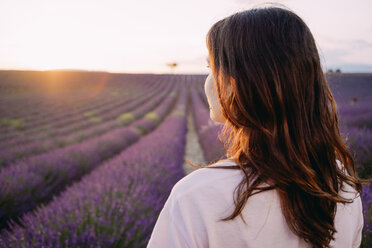 France, Valensole, back view of woman in front of lavender field at sunset - GEMF02228