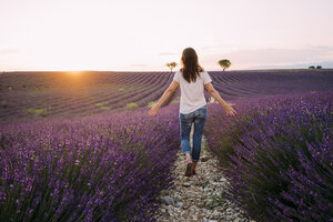 Frankreich, Valensole, Rückenansicht einer Frau, die bei Sonnenuntergang zwischen den Blüten eines Lavendelfeldes spazieren geht - GEMF02232