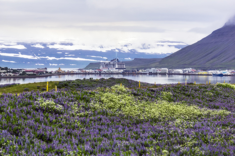 Island, Isafjordur, lizenzfreies Stockfoto