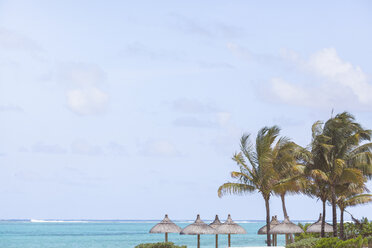 Mauritius, Grand Port District, Pointe d'Esny, Palms and straw umbrellas at the beach - MMAF00426