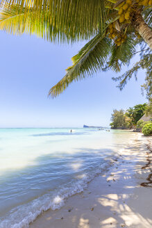 Mauritius, Riviere du Rempart, Cap Malheureux, Palmenstrand und Boote - MMAF00437