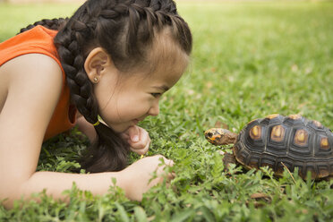 Ein Mädchen liegt im Gras und betrachtet eine Schildkröte. - MINF03003