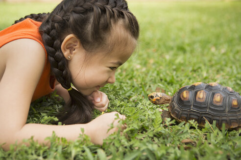 A girl lying on the grass looking at a tortoise. - MINF03003