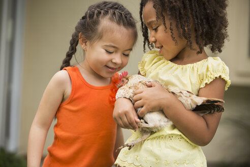 Zwei junge Mädchen, von denen eines ein Huhn in den Armen hält. - MINF03012