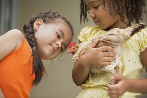 Zwei junge Mädchen, von denen eines ein Huhn in den Armen hält. - MINF03013