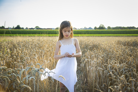 Porträt eines kleinen Mädchens in einem Weizenfeld, lizenzfreies Stockfoto