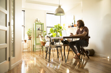 Young man using laptop at home - MFRF01158