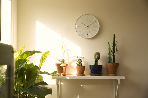 Wall clock and potted plants on shelf in a living room - MFRF01159