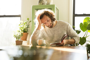 Junger Mann liest zu Hause ein Buch - MFRF01160