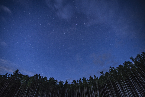 Russia,, Amur Oblast, Starry sky over forest stock photo