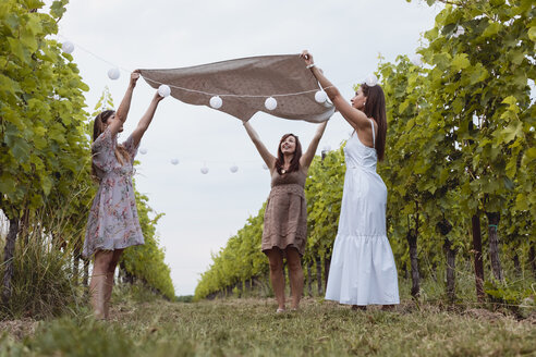 Freunde breiten eine Picknickdecke im dekorierten Weinberg aus - MAUF01613