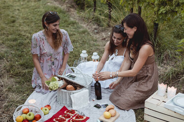 Freunde bei einem Sommerpicknick im Weinberg - MAUF01629