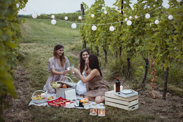 Freunde bei einem Sommerpicknick im Weinberg - MAUF01634